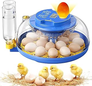 18 Egg Incubator with 3600 View, Automatic Turning, Humidity Control & Built-in Candler