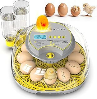 IBKINXX Incubator for Hatching Eggs - 12 Egg Capacity with Automatic Turner and Climate Control