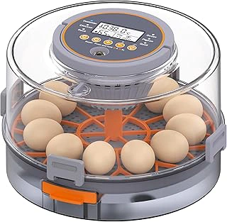 Intelligent Egg Incubator with Automatic Egg Turning, Humidity, and Temperature Control