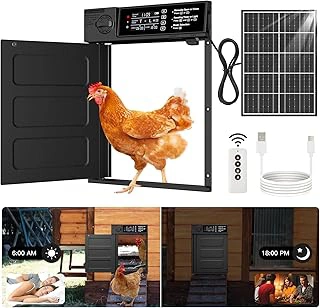 Large Size Solar Powered Automatic Chicken Coop Door