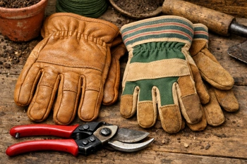 Leather promises toughness, canvas offers breathability. But which material survives real garden work?