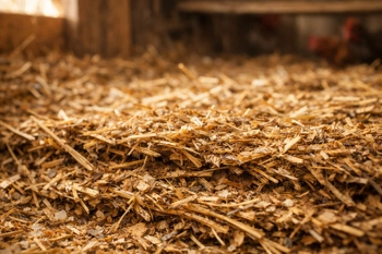 Learn how the deep litter method works, who it helps most, and whether it fits your flock.