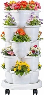 Grow strawberries and herbs in five vertical tiers without a backyard.