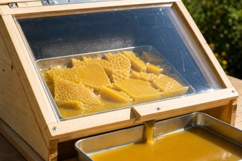 Turn sunshine into clean beeswax with a simple DIY solar melter.