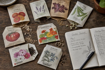 Learn how heirloom seeds build true self-sufficiency through seed saving and local adaptation.